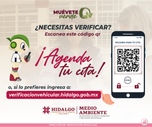 Verificación Vehicular