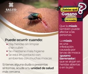 Gusano Barrenador