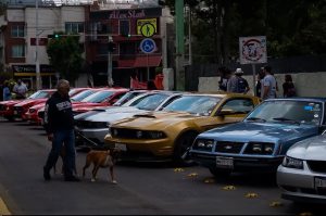 Hidalgo recibirá a más de 250 Mustangs durante el 13.º Aniversario de Wild Colts